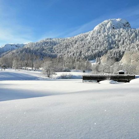 Chalet Des Cascades Le Mont-Dore Buitenkant foto