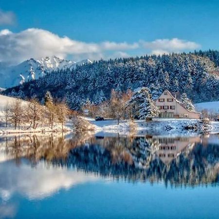 Chalet Des Cascades Le Mont-Dore Buitenkant foto