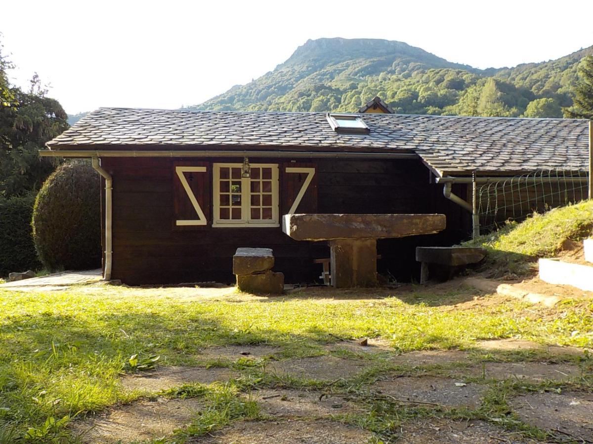 Chalet Des Cascades Le Mont-Dore Buitenkant foto