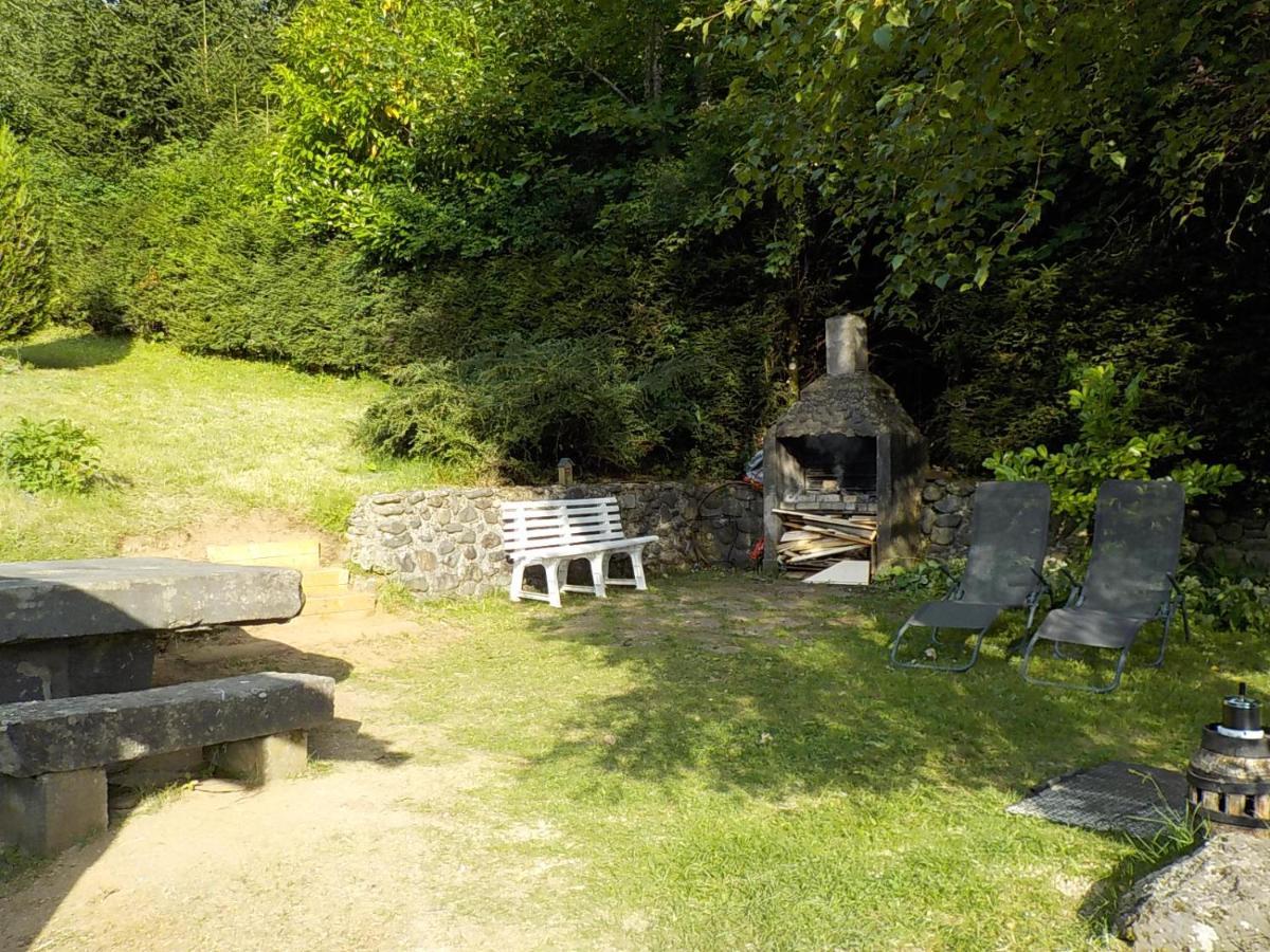 Chalet Des Cascades Le Mont-Dore Buitenkant foto