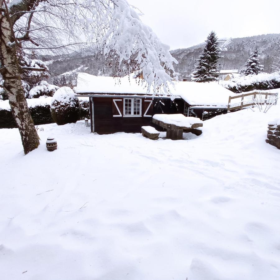 Chalet Des Cascades Le Mont-Dore Buitenkant foto