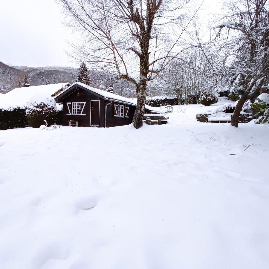 Chalet Des Cascades Le Mont-Dore Buitenkant foto