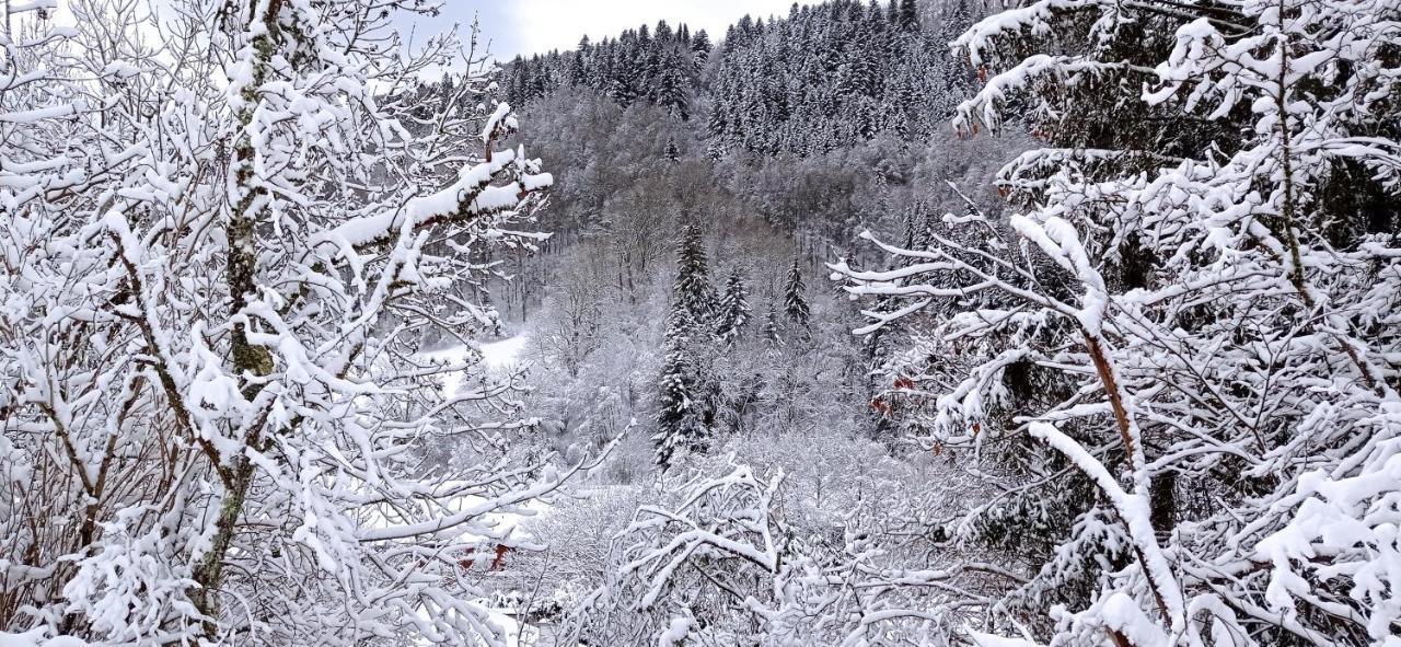 Chalet Des Cascades Le Mont-Dore Buitenkant foto