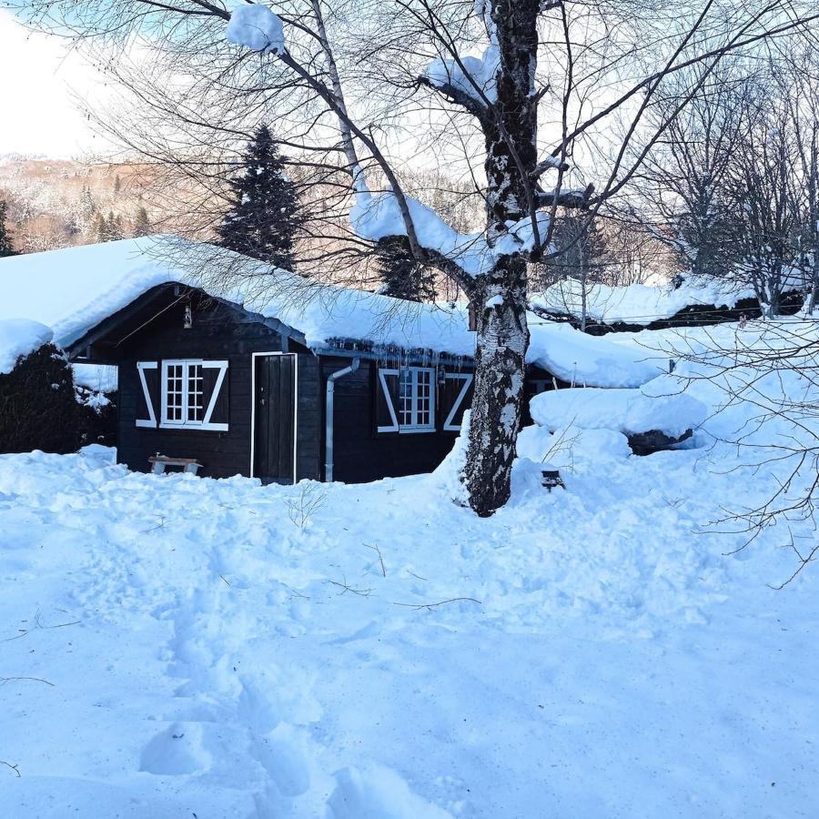 Chalet Des Cascades Le Mont-Dore Buitenkant foto