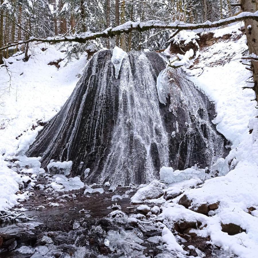 Chalet Des Cascades Le Mont-Dore Buitenkant foto